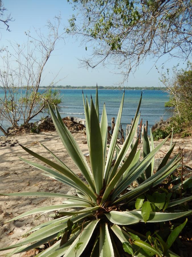 Blue Monkey Beach Cottages Shimoni Εξωτερικό φωτογραφία