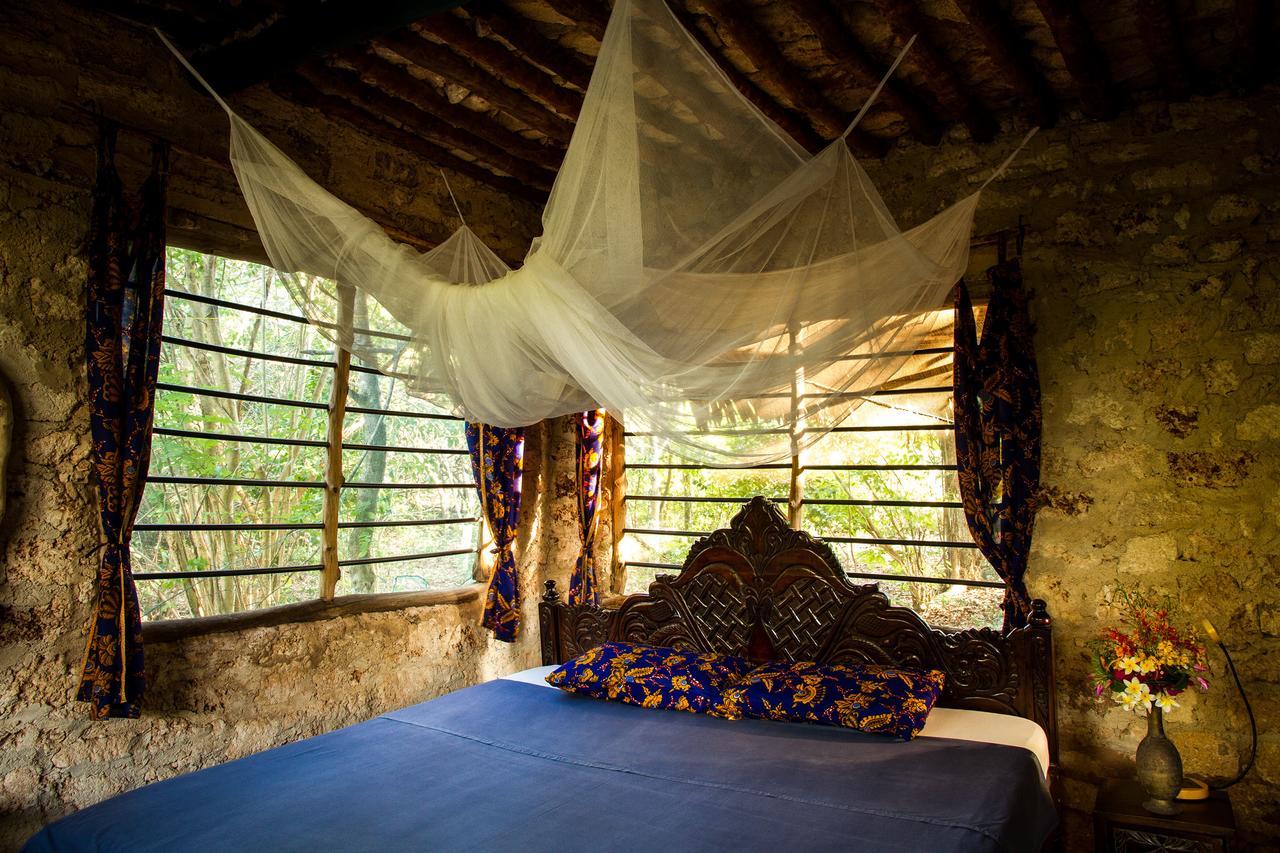 Blue Monkey Beach Cottages Shimoni Εξωτερικό φωτογραφία