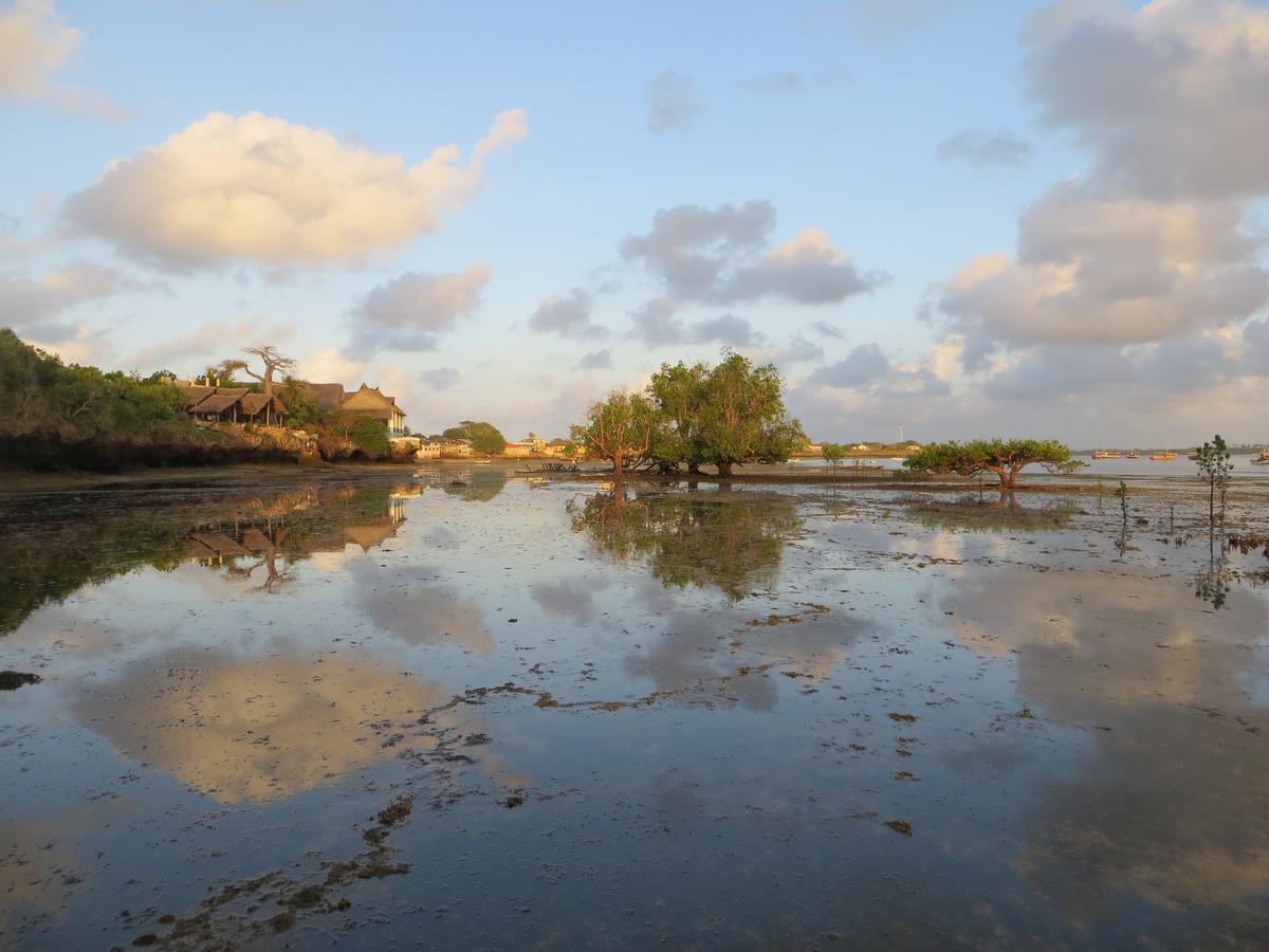 Blue Monkey Beach Cottages Shimoni Εξωτερικό φωτογραφία