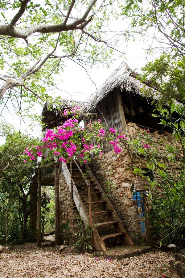 Blue Monkey Beach Cottages Shimoni Εξωτερικό φωτογραφία